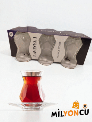 RAYAN 6'LI LAVİNYA ÇAY BARDAĞI